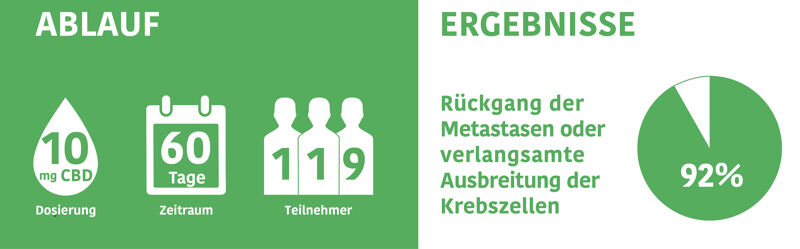 CBD bei Krebs Studie